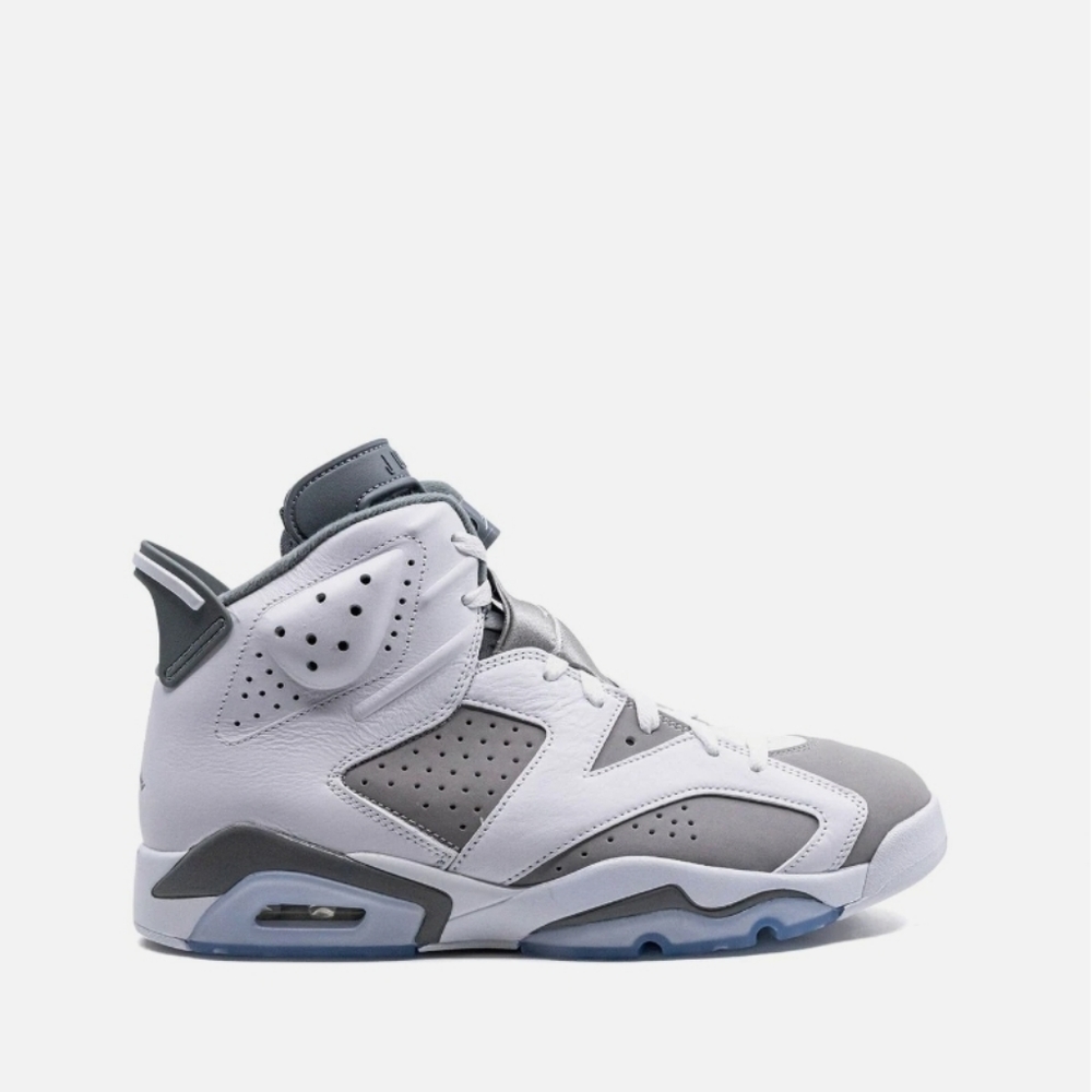 Cool Grey Jordan 6